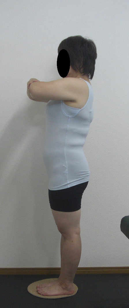 �G�X�e�ł͂���܂���V�����e���̂ł�